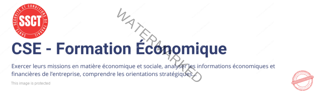 Formation CSE économique
