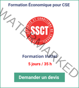 Formation économique CSE Initial