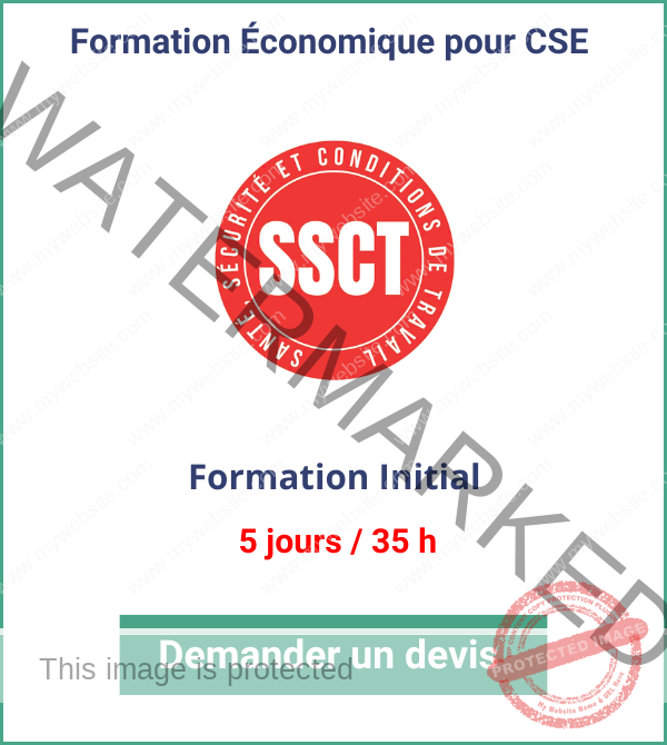 Formation économique CSE Initial