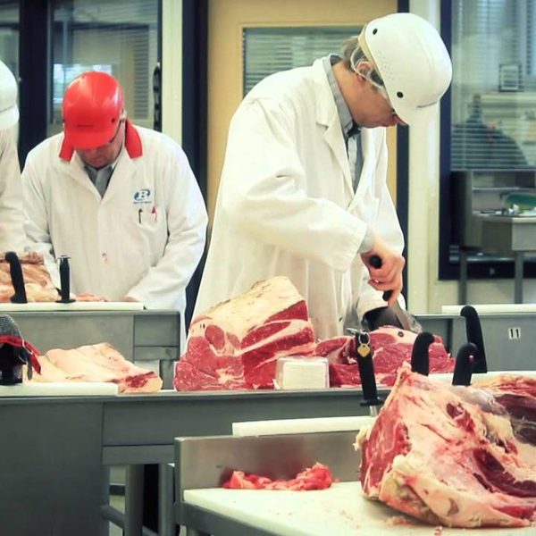 Formation HACCP hygi&egrave;ne alimentaire boucherie traiteur