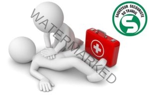 Centres de Formation SST Sauveteur et Secouriste du Travail , Inscription Formation SST Sauveteur et Secouriste du Travail, Formation SST Val-de-Marne (94) - Créteil, Formation SST Val-d'Oise (95) - Cergy, Formation SST seine-saint-denis (93), Formation SST Hauts-de-Seine (92) - Nanterre, Formation SST Essonne (91) - Évry-Courcouronnes, Formation SST Seine-et-Marne (77)- Melun, Formation SST Yvelines (78) - Versailles, Formation SST Bouches-du-Rhône (13) - Marseille, Formation SST Haute-Garonne (31) - Toulouse, Formation SST Indre-et-Loire (37) - Tours